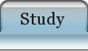 Study Search